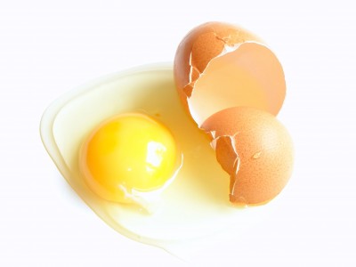 雞蛋的好處 / 雞蛋的營養
